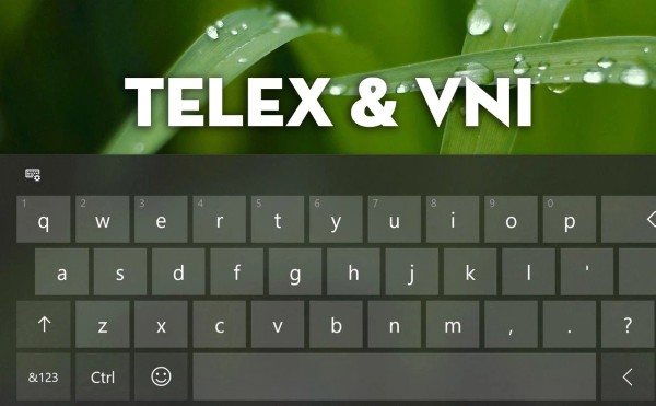 So sánh kiểu gõ Telex và VNI